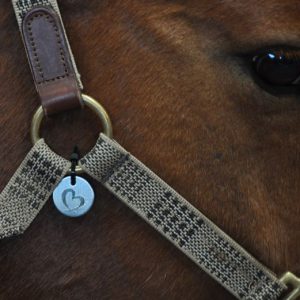 Halter Tags