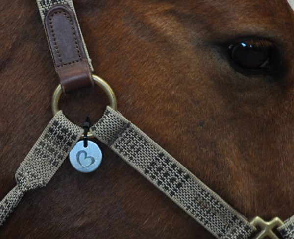 Halter Tags