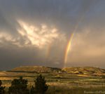 rainbow, new year